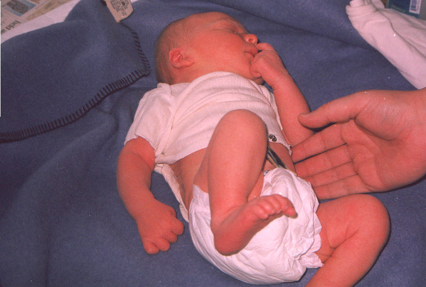 daniel hand.jpg (96707 bytes)
