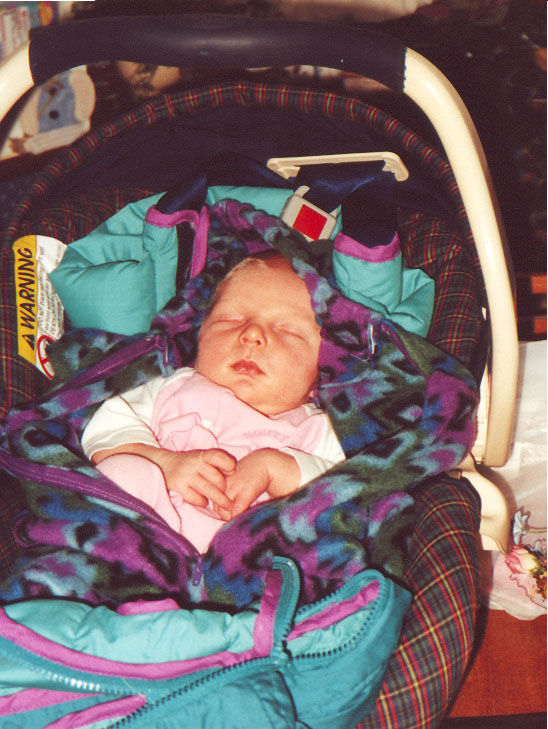sleepingcarseat.JPG (119574 bytes)